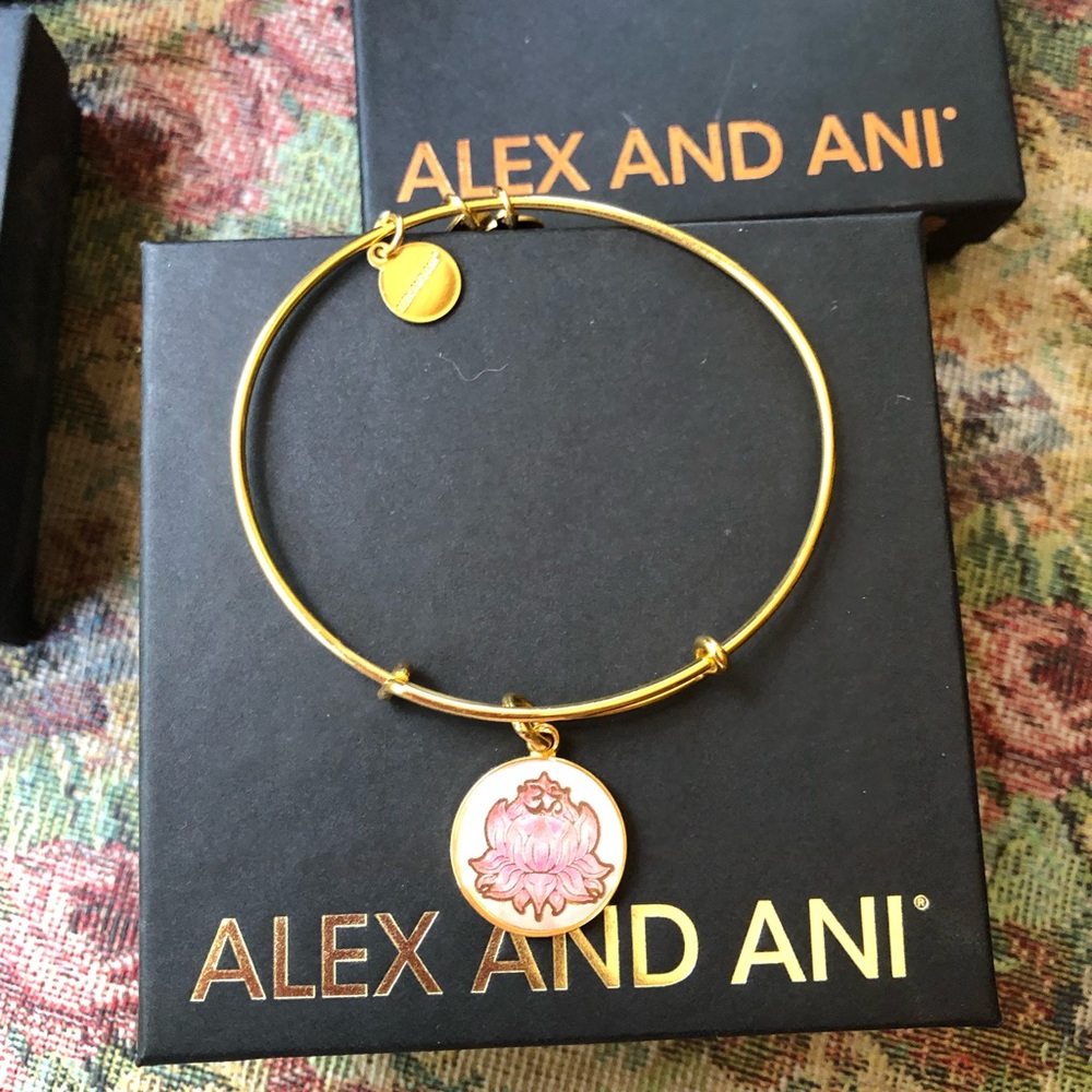 💥RETIRED💥 Alex and Ani Bracelet